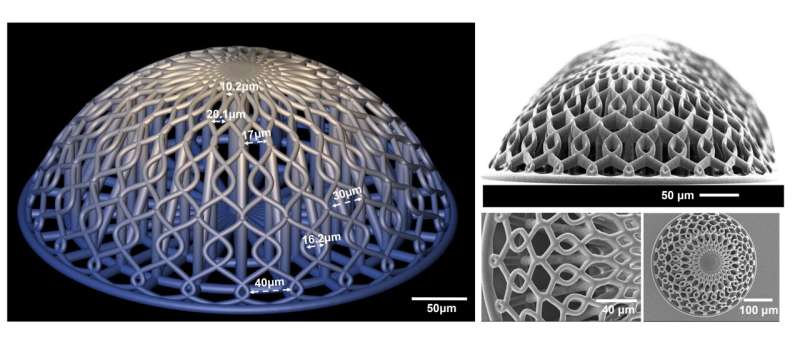 New 3D co-culture model to study the effect of proton therapy on aggressive brain cancer