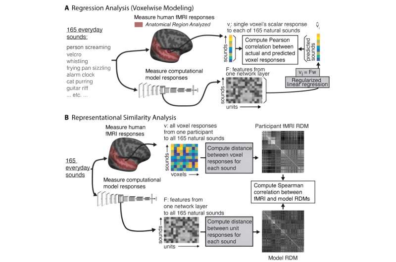 Deep neural networks show promise as models of human hearing