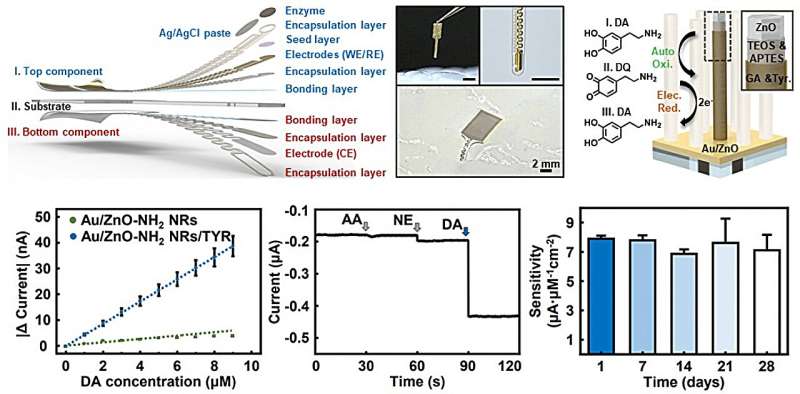 Real-time dopamine measurement using a flexible probe that minimizes brain damage