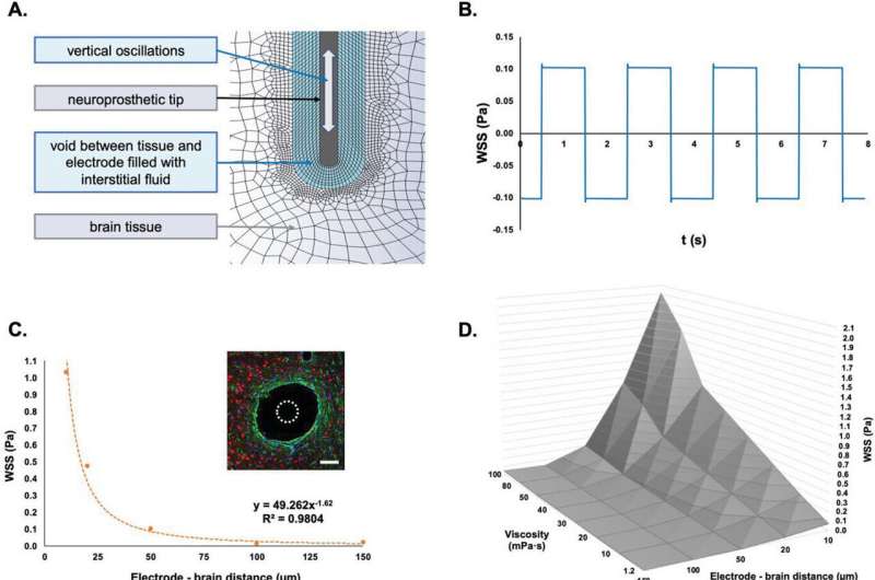 Research sheds light on why brain implants lose functionality