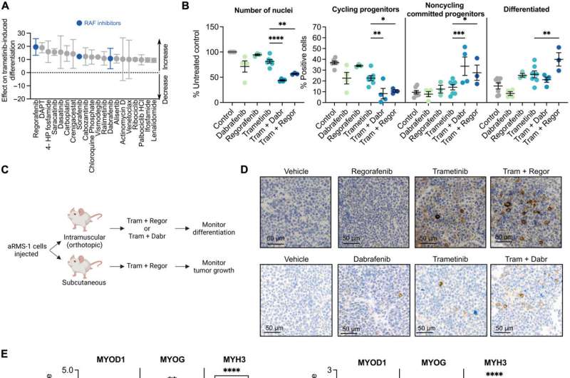 Identifying drug target candidates to treat pediatric rhabdomyosarcoma (RMS) tumors