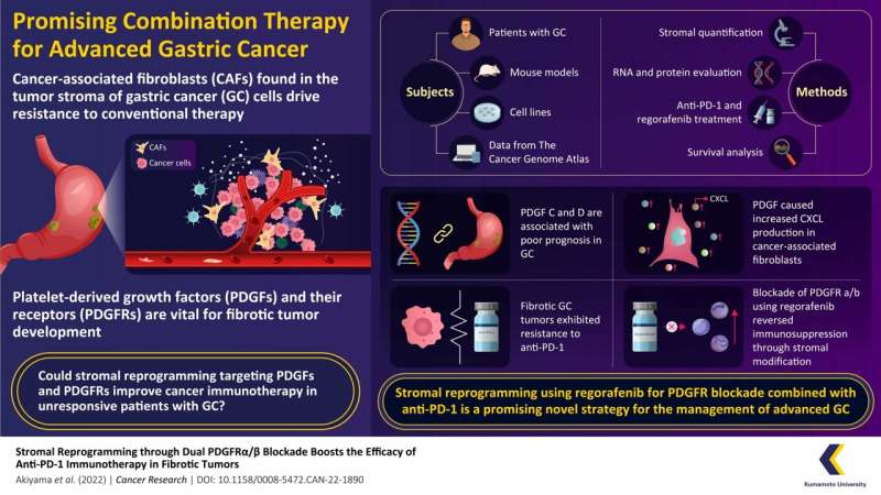 Regorafenib augments antitumor effect of anti-PD-1 immunotherapy in advanced gastric cancers