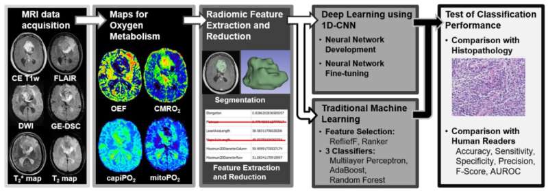 Deep learning and radiomics allow precise differentiation in brain tumors