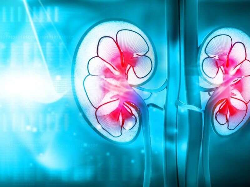 Renal impairment linked to worse prognosis in IgD multiple myeloma