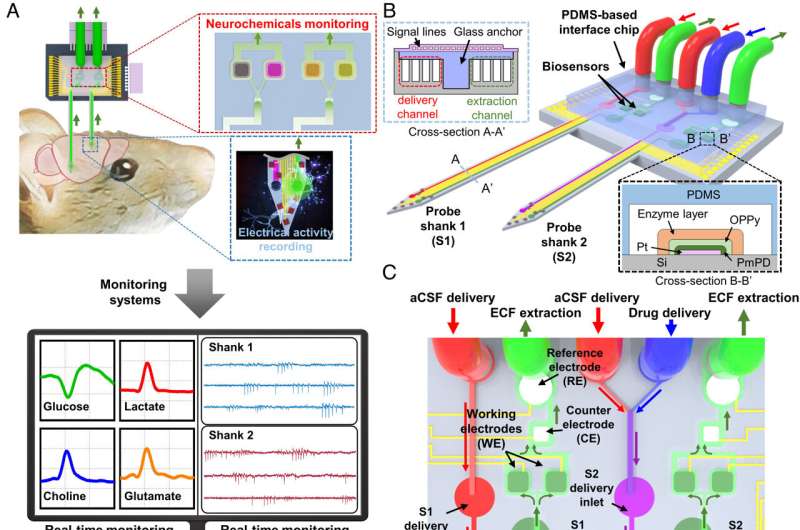 Developing the first technique to find the causative agent of brain diseases