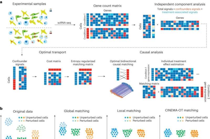 New software tool decodes cytokine 'language' of immune cells