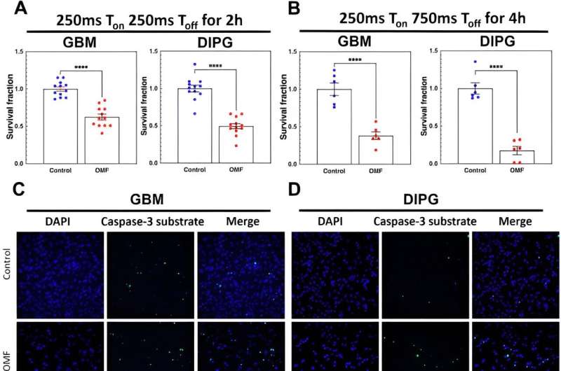 Magnetic field patterns cause oncolysis via oxidative stress in glioma cells 