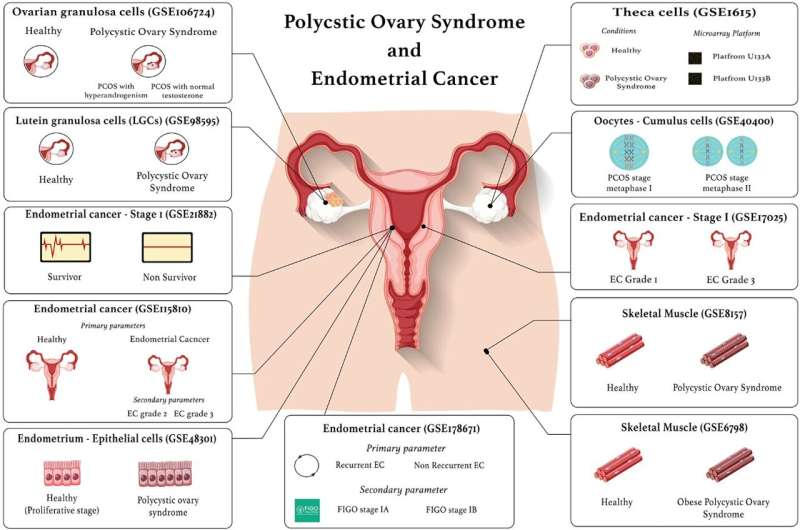 Four novel receptors may link endometrial cancer to PCOS