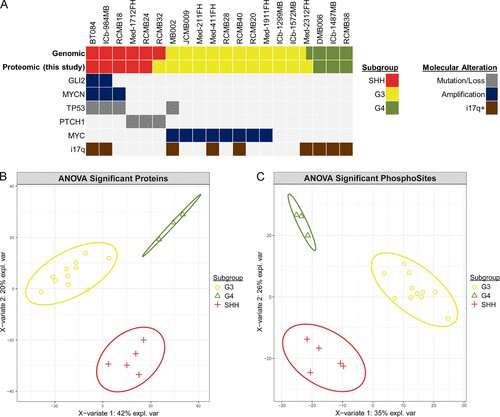 Deep proteomic profiling reveals possible therapeutic targets for medulloblastoma