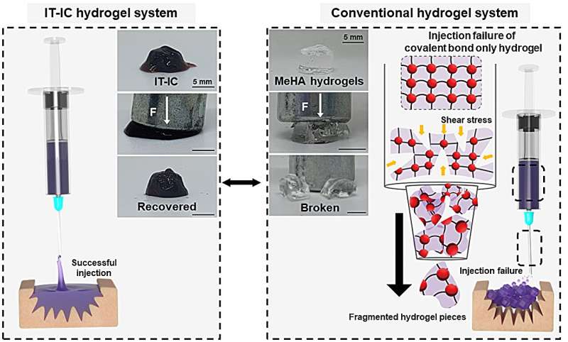 New &quot;injectable tissue prosthesis coupled with closed-loop bioelectronic system&quot; to aid in damaged muscle/nerve regeneration and robot-assisted rehabilitation