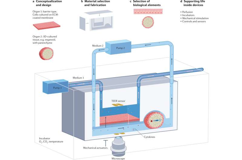 Building a future for non-animal models