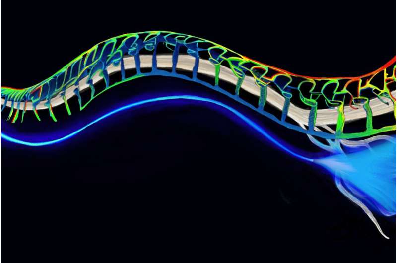 Soft optical fibers block pain while moving and stretching with the body