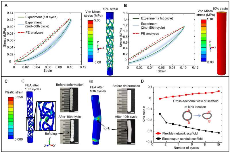 Bioinspired flexible network scaffolds for soft tissue regeneration