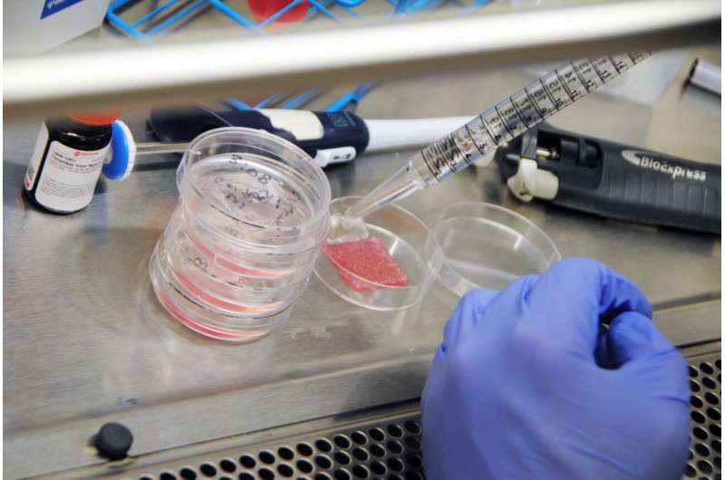 New wound healing research produces full thickness human bioprinted skin