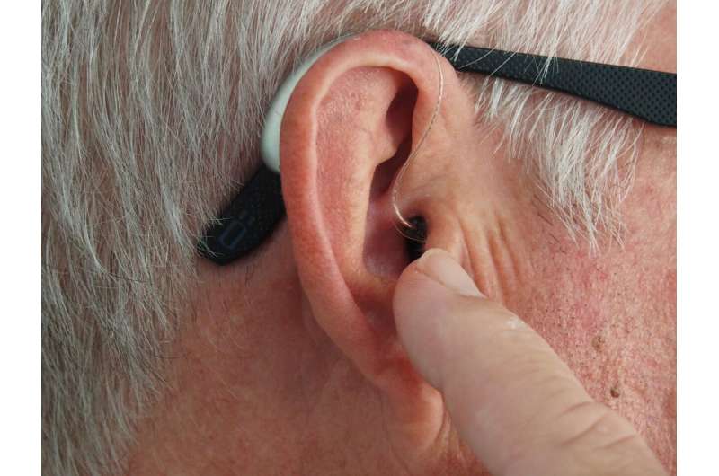 hearing aid