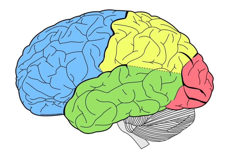 Neuroscientists use neural network to enhance neurofeedback technology