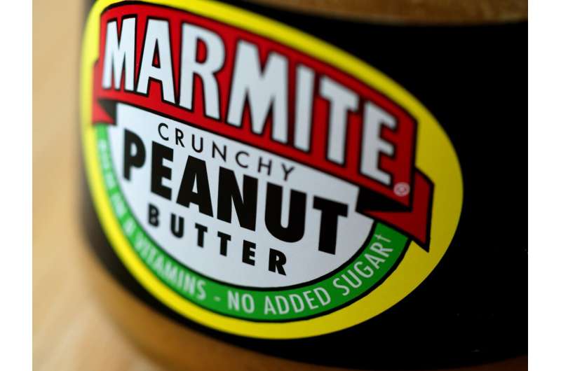 Scientists create virtual marmite for World Marmite Day, with potential for Alzheimer's diagnosis