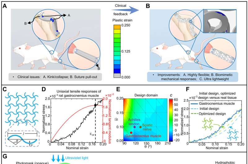 Bioinspired flexible network scaffolds for soft tissue regeneration