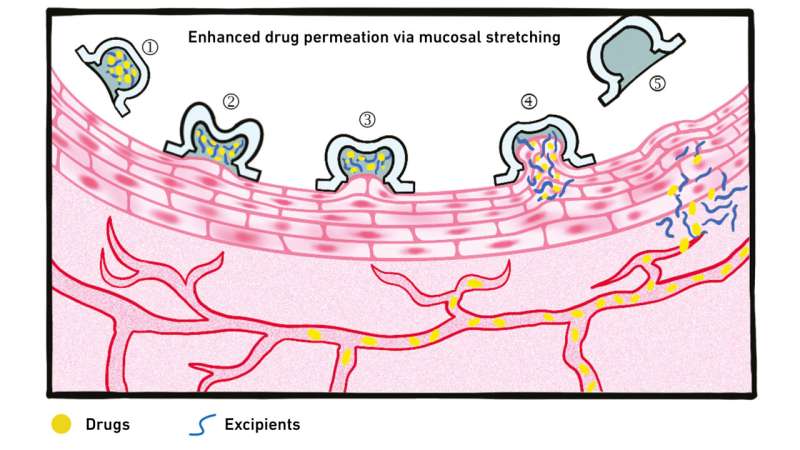 How a suction cup delivers medications to the bloodstream