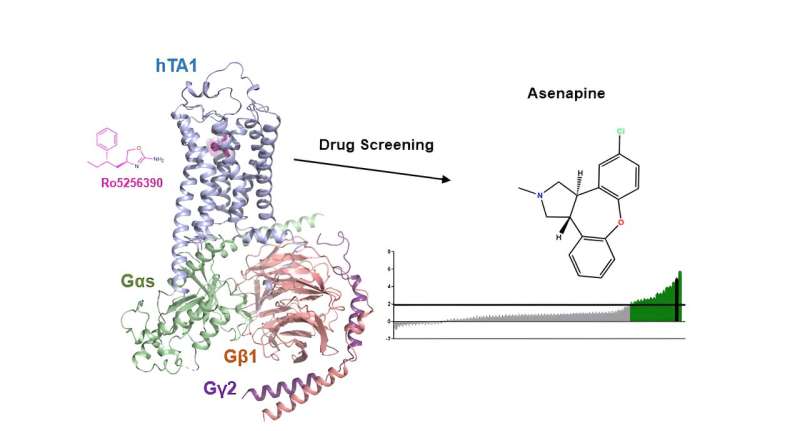 Demystifying a key receptor in substance use and neuropsychiatric disorders 