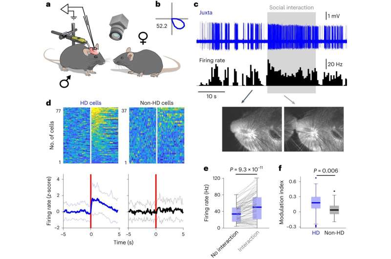 How memories are formed in the brain: A new role for the internal compass 