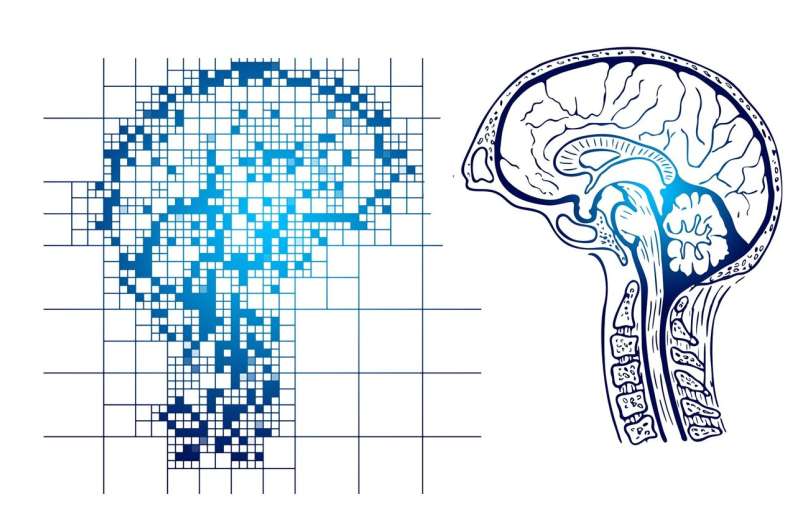 Smaller hippocampus linked to cognitive decline