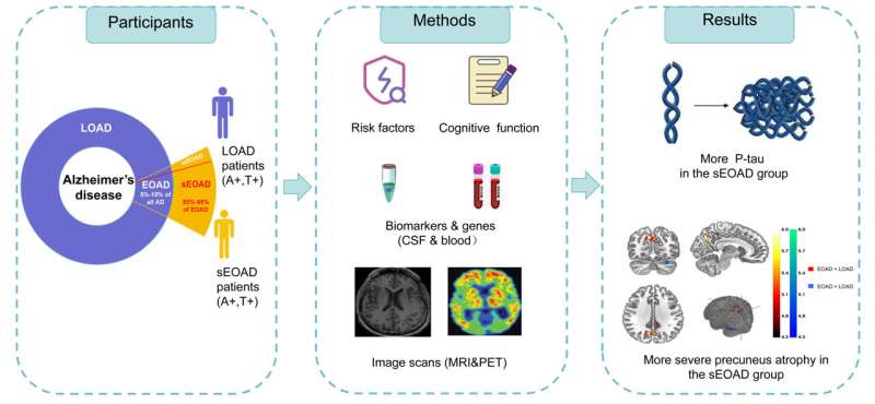 Groundbreaking study sheds light on sporadic early-onset Alzheimer's disease: potential target for novel treatment