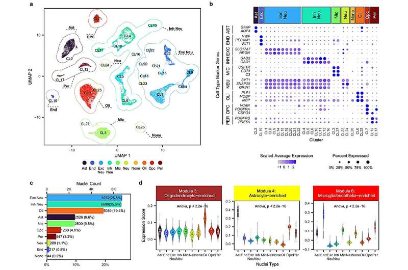 Researchers discover new molecular drug targets for progressive neurological disorder