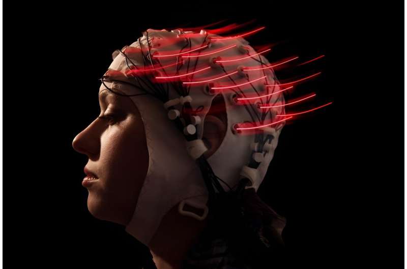 Exploring how the human brain takes stock of blame