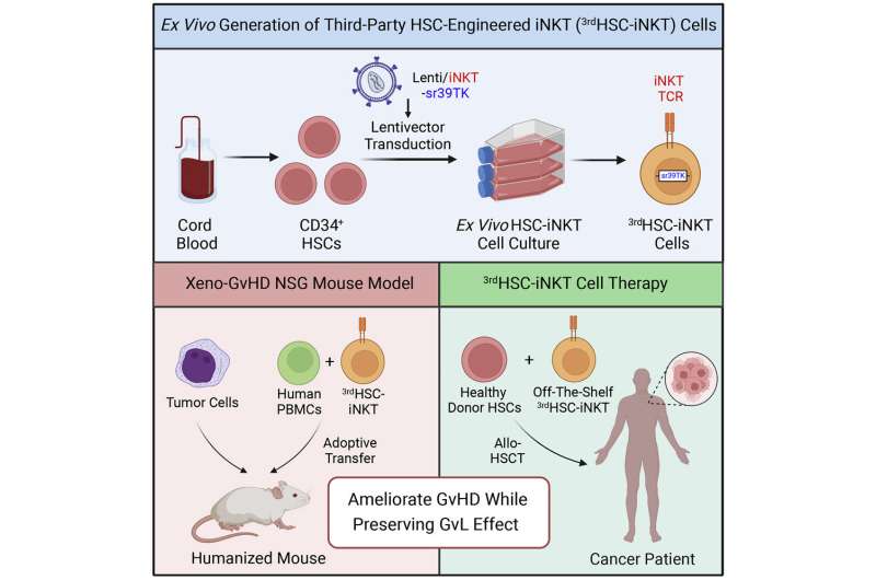 Cell therapy could improve bone marrow transplant safety