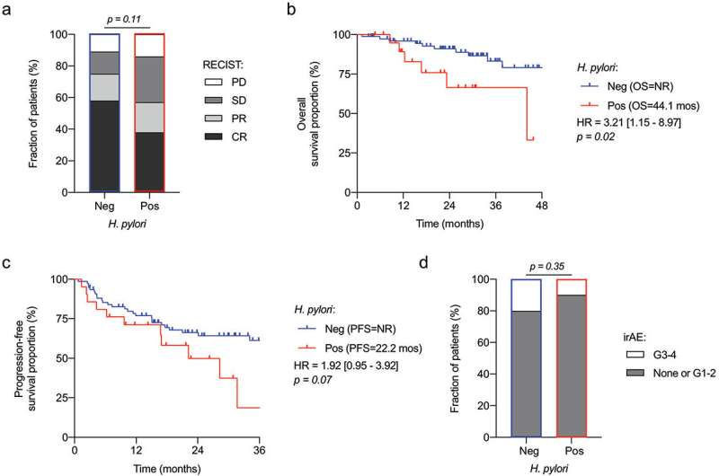 Bacterium decreases effectiveness of immunotherapy