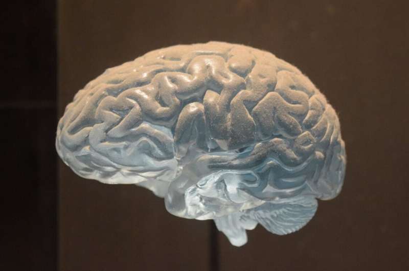 Scientists record powerful signal in the brain's white matter