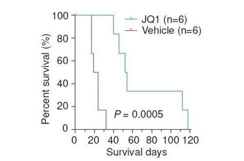 Small molecule inhibitors show early-stage promise against YAP fusion-driven cancers