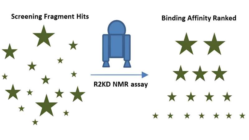 New test helps drug discoverers identify future cancer treatments