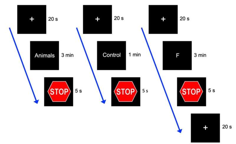 Neuroimaging study reinforces theory of mental 'foraging,' inspiring new understanding of schizophrenia