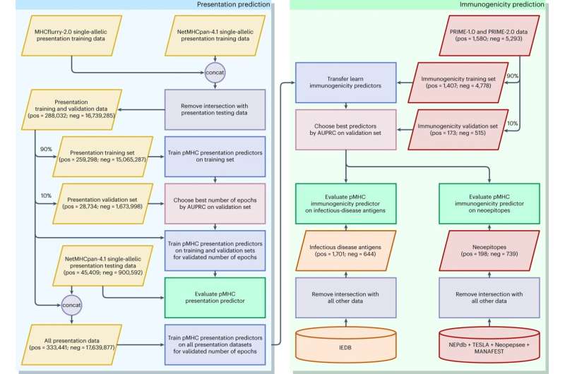 New machine-learning method may aid personalized cancer therapy