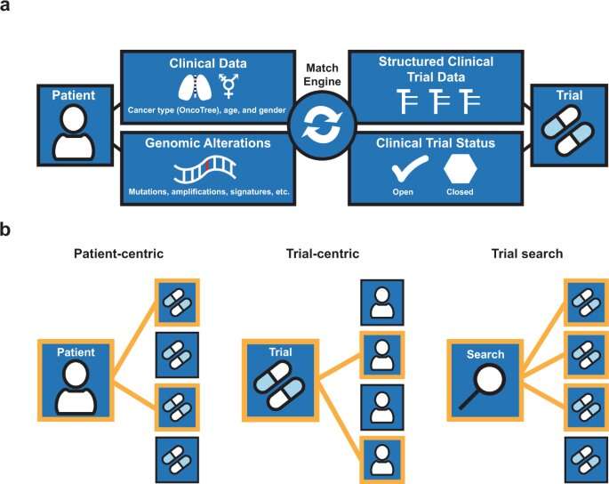 Computer platform helps match patients with cancer to trials of targeted therapy