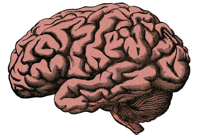 Molecular pathology of suicide: A postmortem study