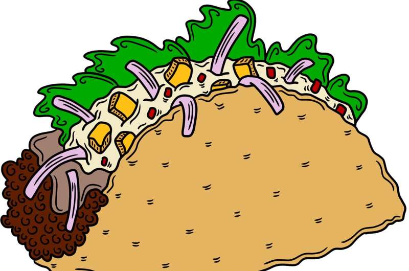 What an animated taco reveals about curiosity and patience