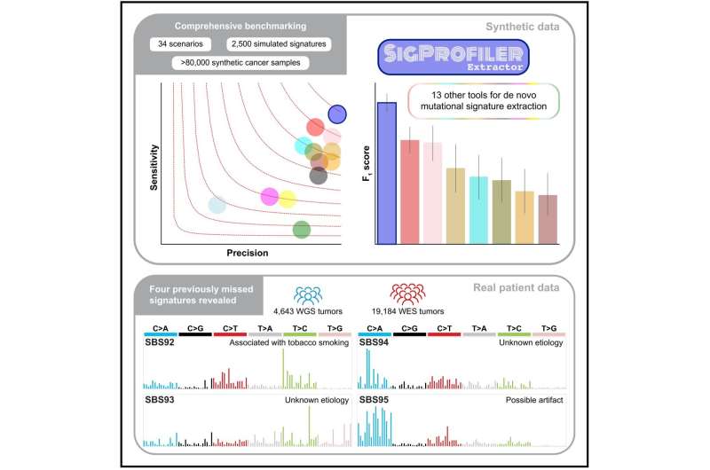 Mutational signature linking bladder cancer and tobacco smoking found with new AI tool