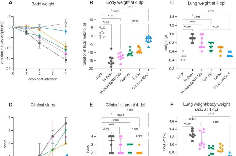 SARS-CoV-2 virus found to migrate within neurons and infect the brain