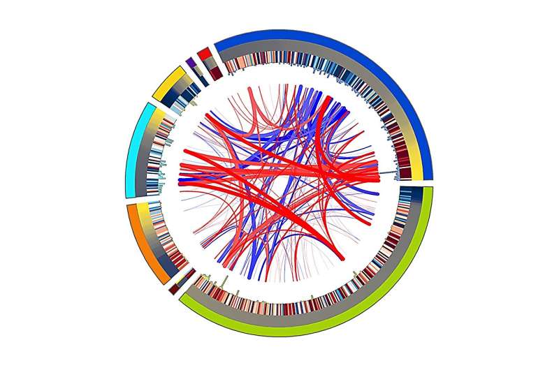 New research shows how cancer rewires a key immune pathway to spread