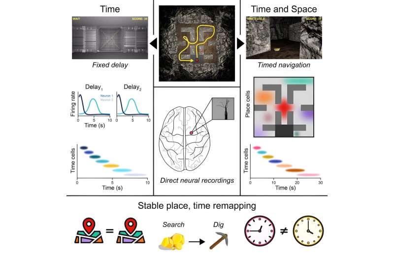 Sets of neurons work in sync to track 'time' and 'place,' giving humans context for past, present and future