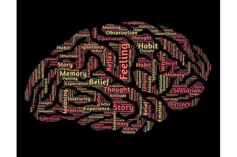 New research finds two regions of the brain critical to integrating semantic information while reading