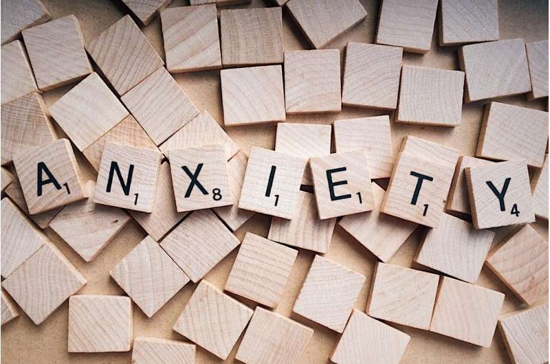 Anxiety may be contagious, mouse study suggests