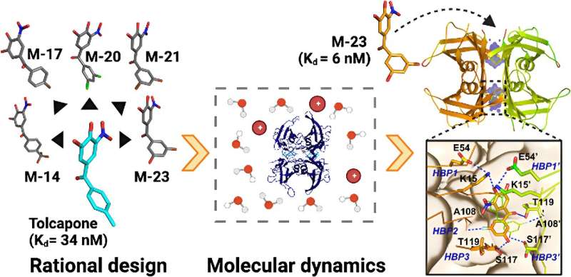 New molecule to fight against transthyretin amyloidosis