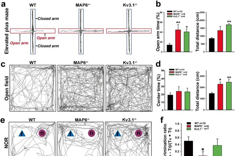 Unexpected link found between 2 schizophrenia risk proteins