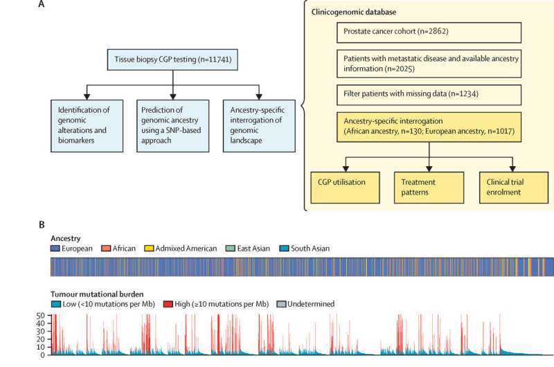 New study indicates treatment patterns, not genetics, drive prostate cancer disparities