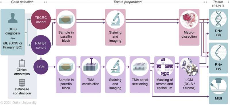 Newly developed gene classifier identifies risk of pre-breast cancer progression