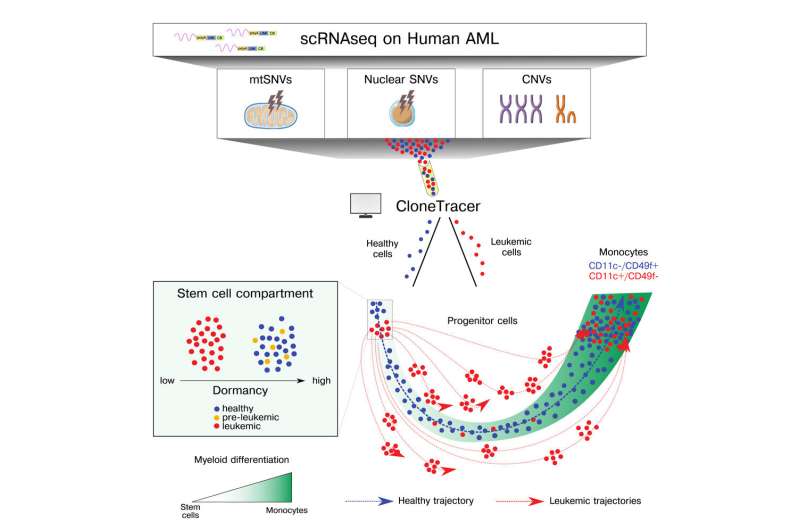 Differentiation landscape of acute myeloid leukemia charted with new tool